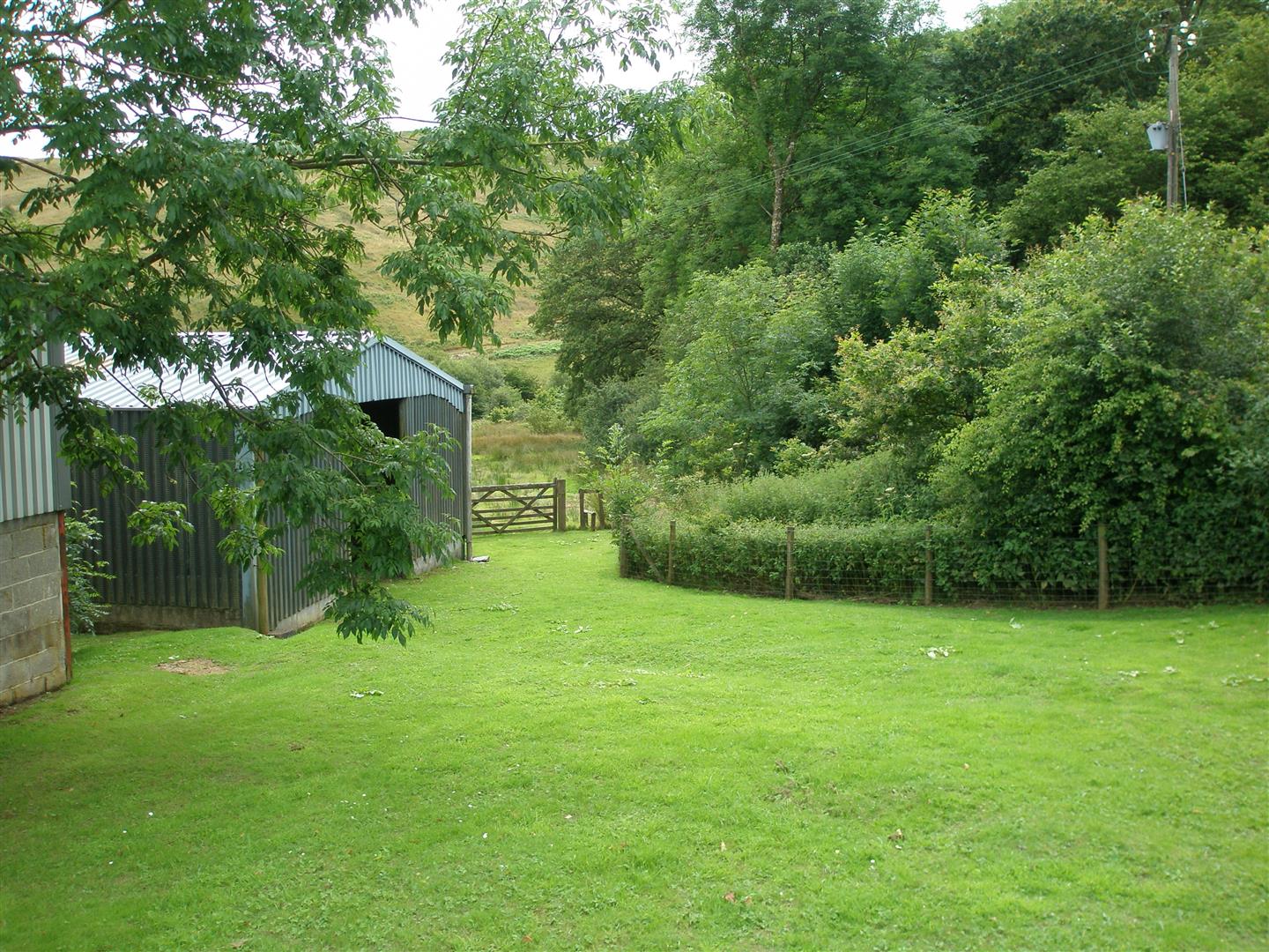 GROUNDS